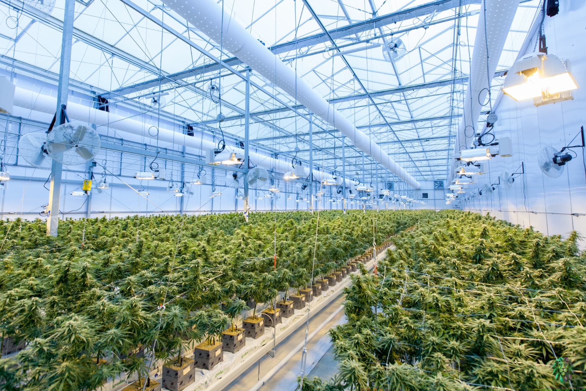 El startup espa&ntilde;ol recibe autorizaci&oacute;n para el lanzamiento test de su producci&oacute;n