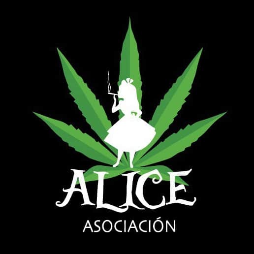 Logo del club de cannabis Alice Valencia