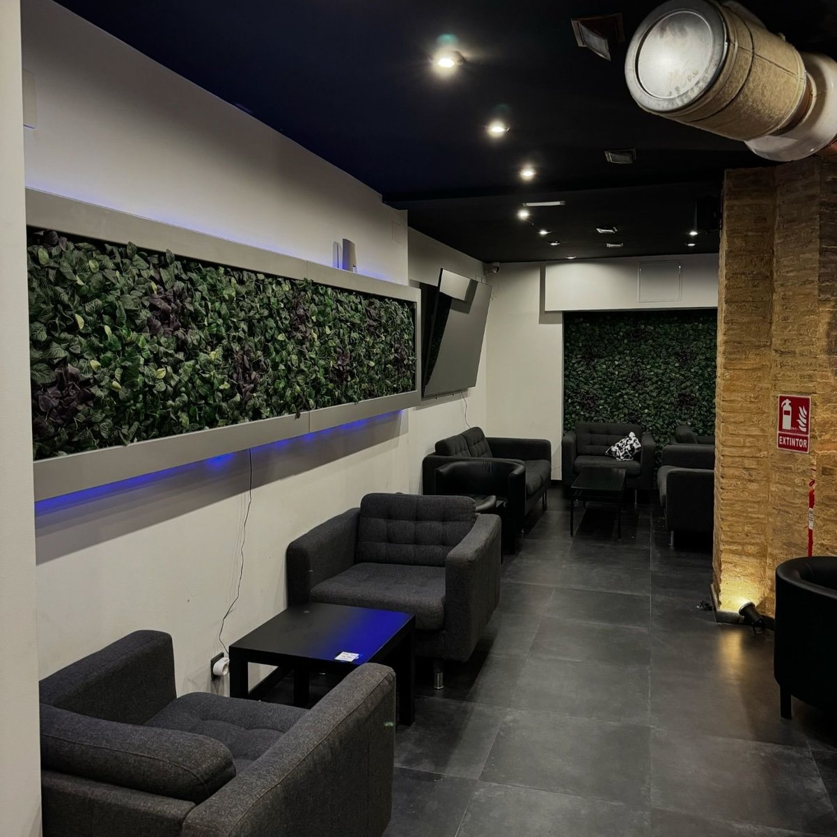 Zona de descanso minimalista de la asociación cannábica TURIA62 en Valencia con pared vegetal