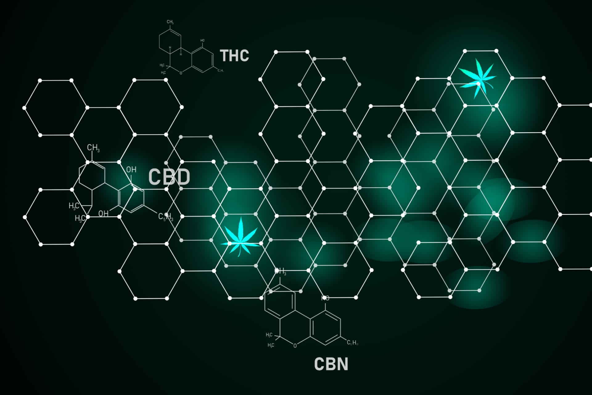 Más allá del THC y el CBD: Explorando otros compuestos del cannabis