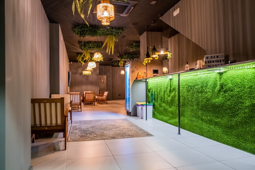 Zona de dispensario de la asociación cannábica Shambala en Valencia con mostrador de textura vegetal
